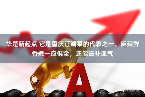 华楚新起点 它是重庆江湖菜的代表之一，麻辣鲜香嫩一应俱全，还能滋补血气